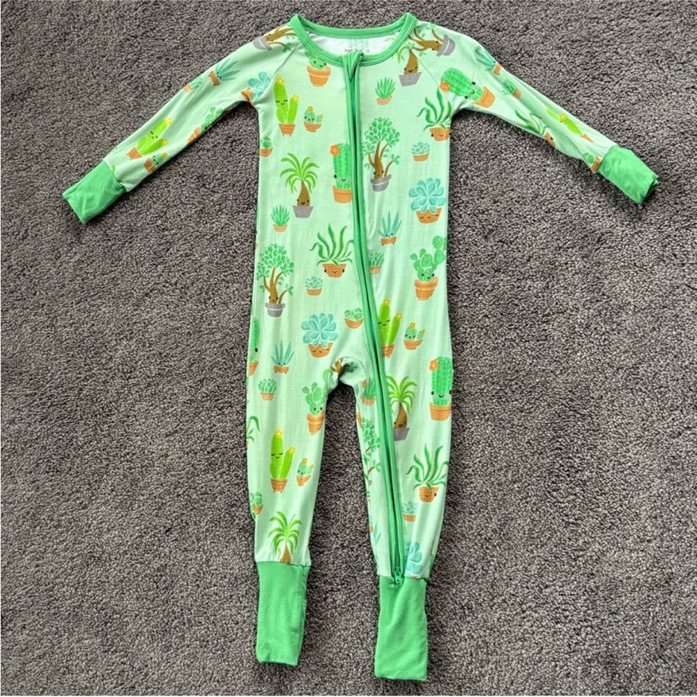 Little Sleepies Succulent Love Zippy 12-18